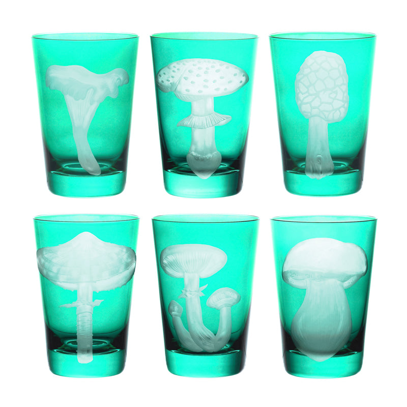 Mushrooms Collection Set