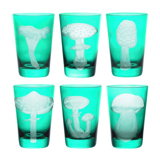 Mushrooms Collection Set