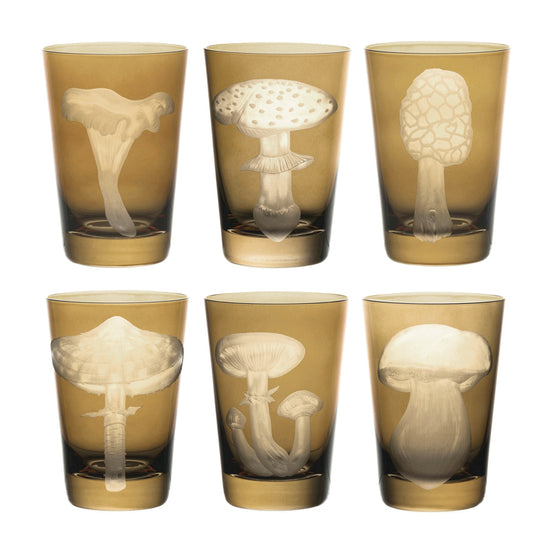 Mushrooms Honey Fungus
