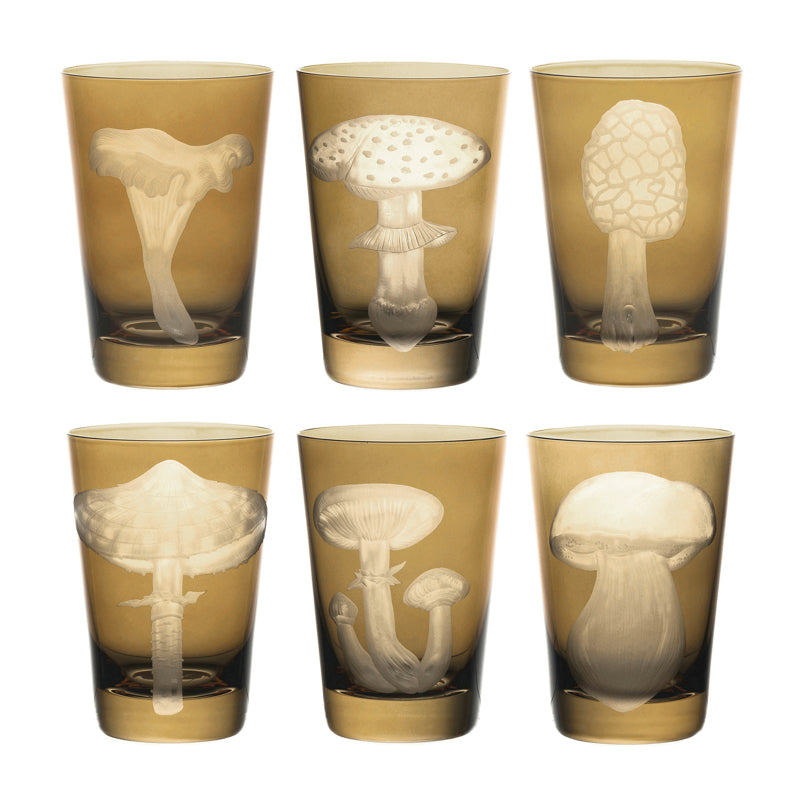 Mushrooms Chanterelle