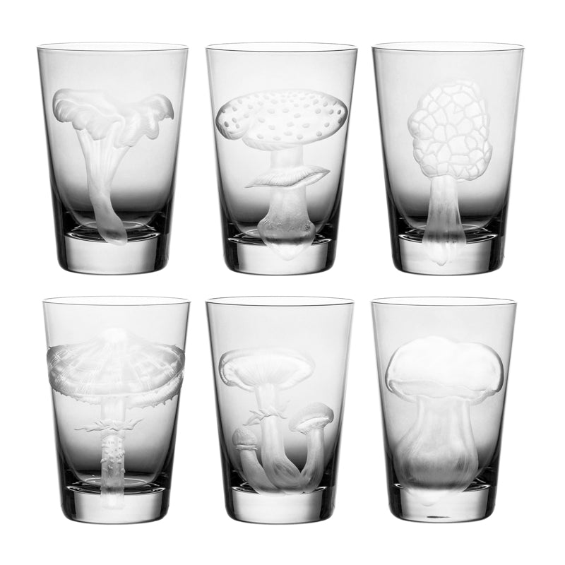 Mushrooms Collection Set