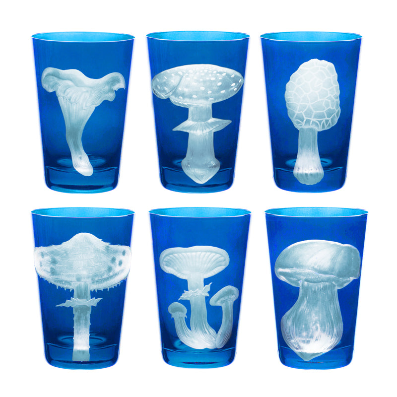 Mushrooms Collection Set