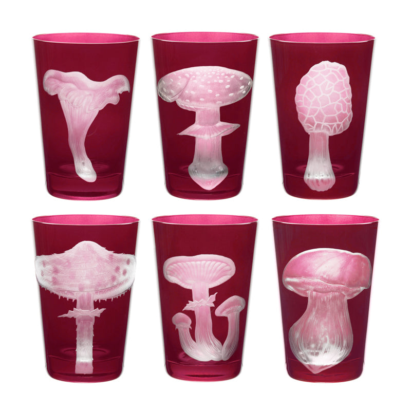 Mushrooms Parasol