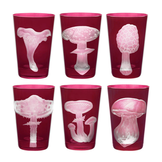 Mushrooms Parasol