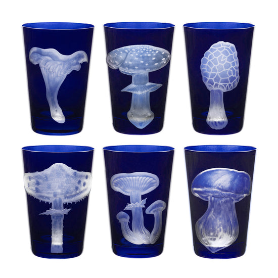 Mushrooms Collection Set