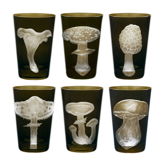 Mushrooms Collection Set