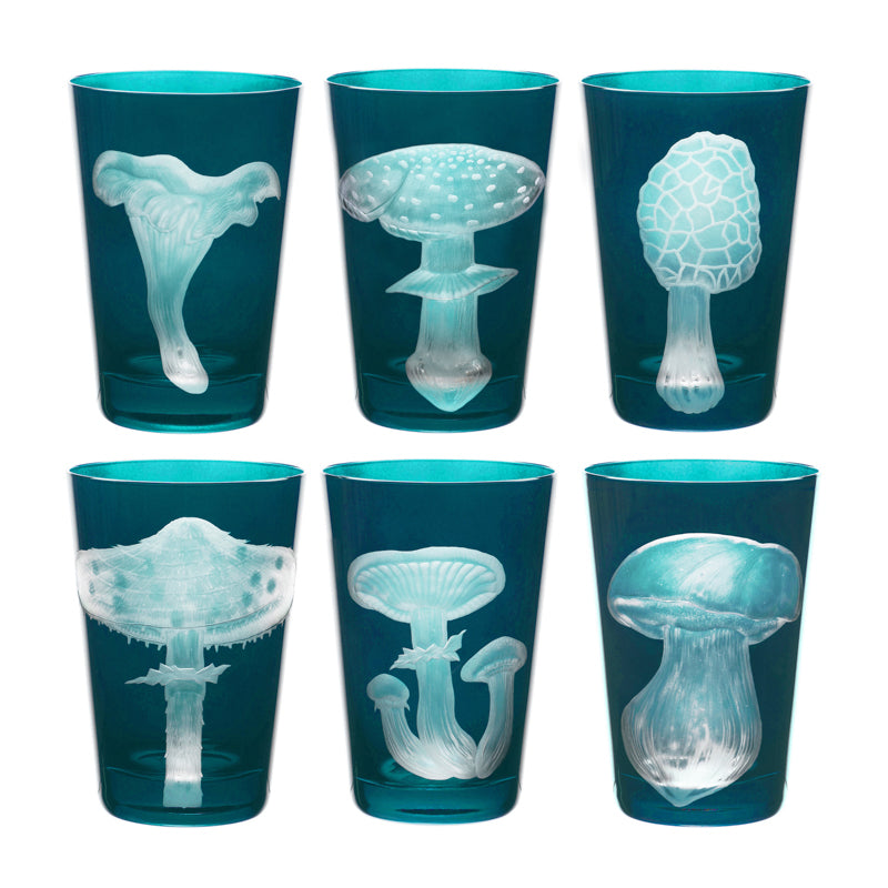 Mushrooms Collection Set