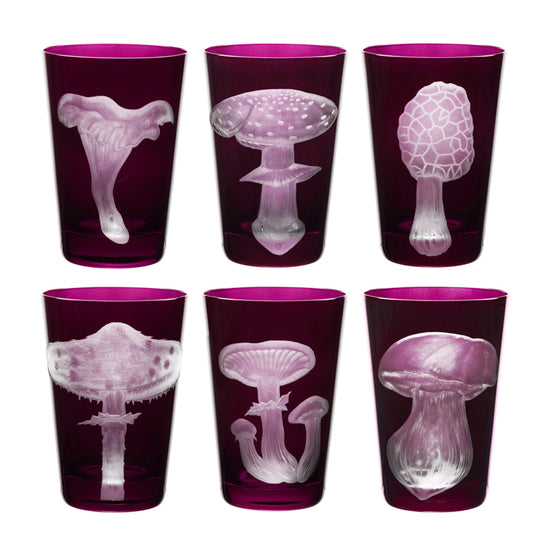 Mushrooms Collection Set
