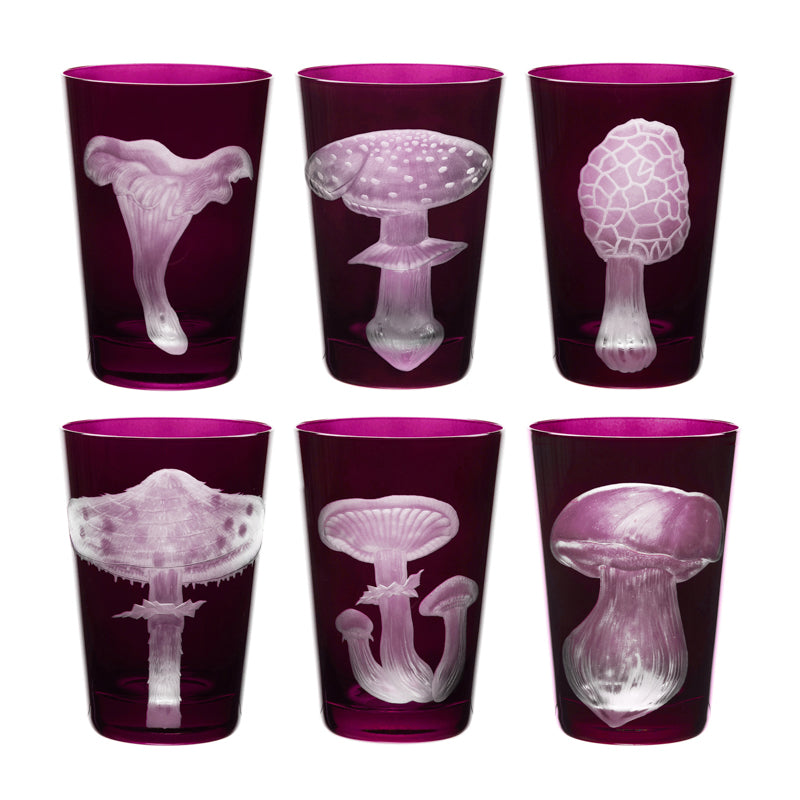 Mushrooms Parasol