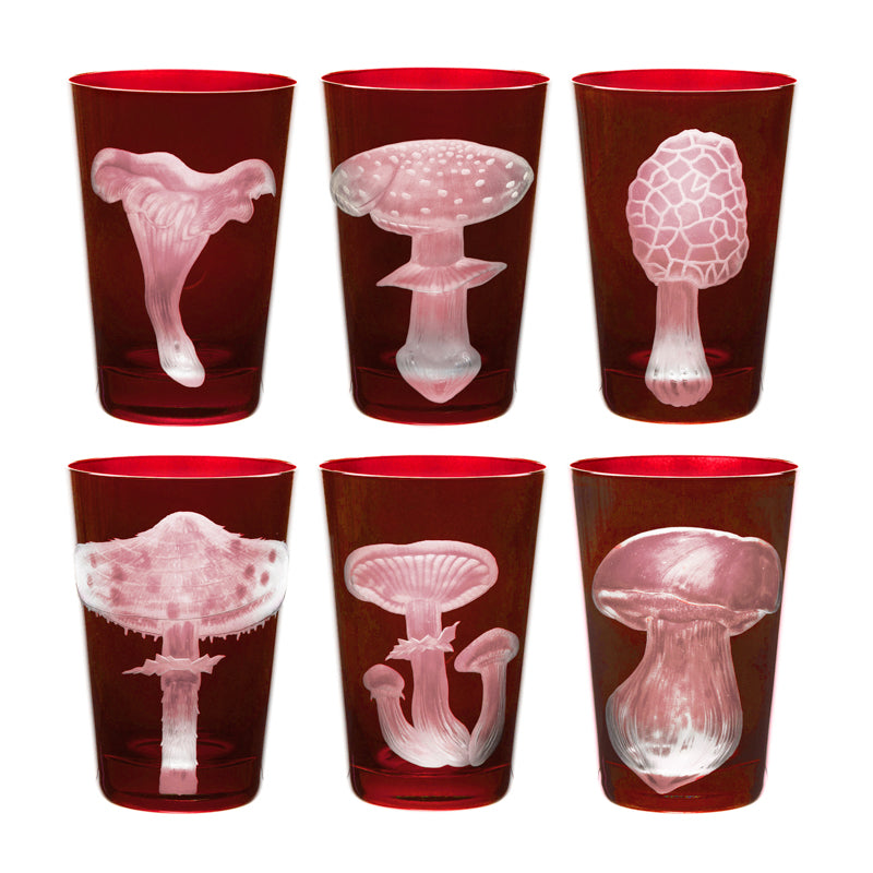 Mushrooms Honey Fungus