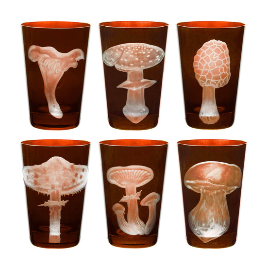 Mushrooms Parasol