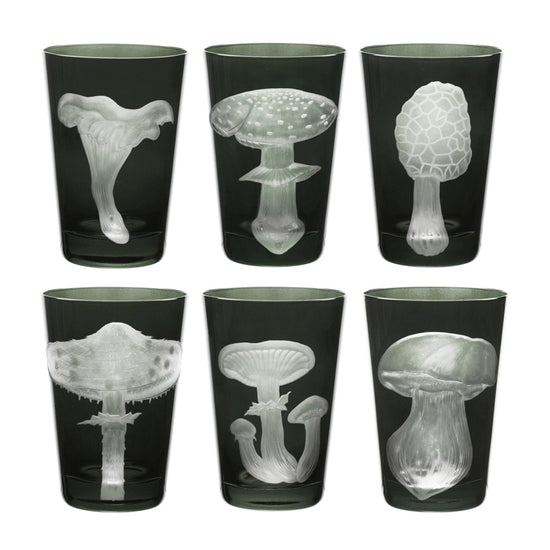 Mushrooms Collection Set