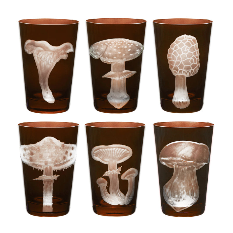 Mushrooms Collection Set
