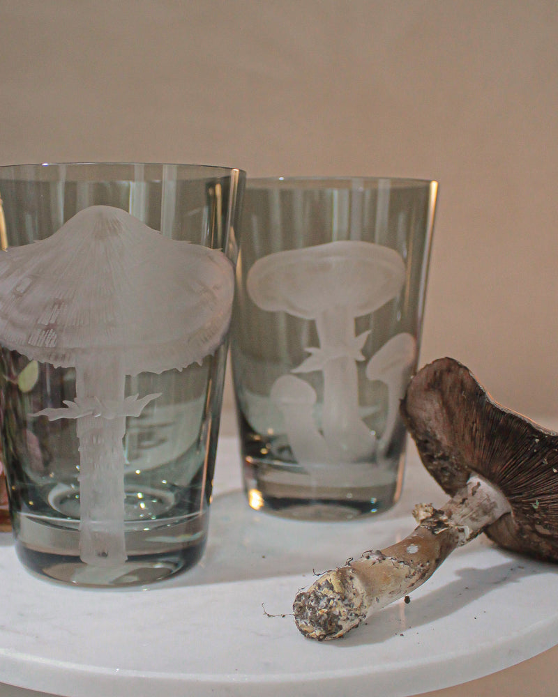 Mushrooms Honey Fungus