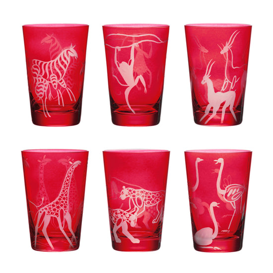 Safari Giraffes