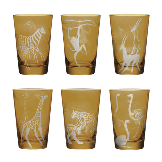 Safari Giraffes