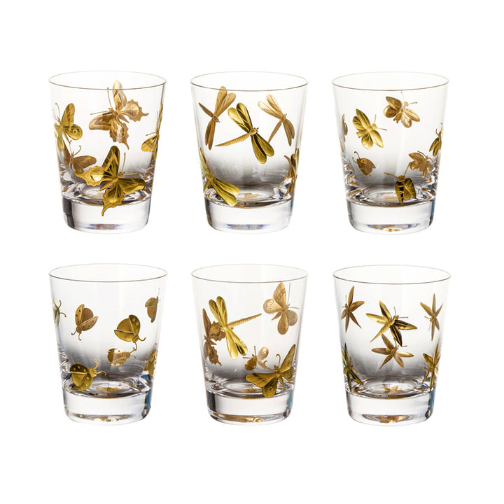 Fly Fusion Collection Set