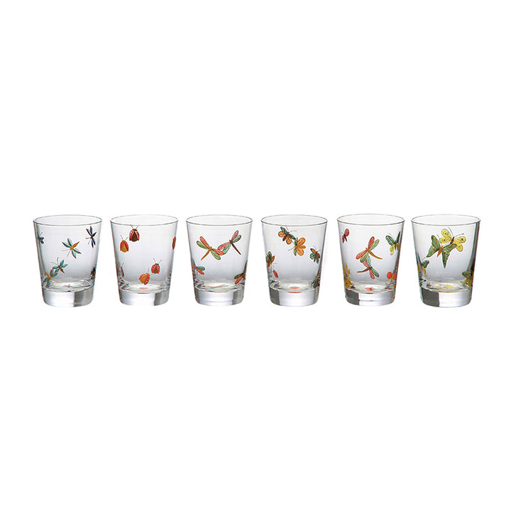 Fly Fusion Collection Set