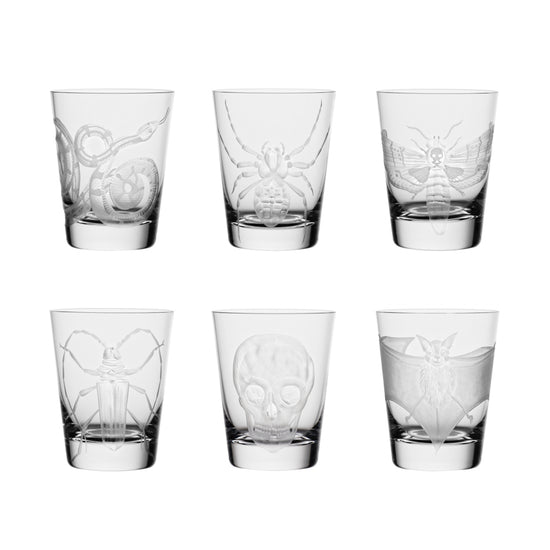 Cabinet of Curiosities Beetle