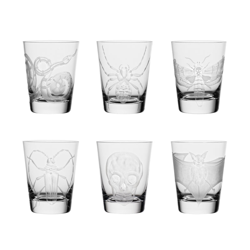 Cabinet of Curiosities Snake