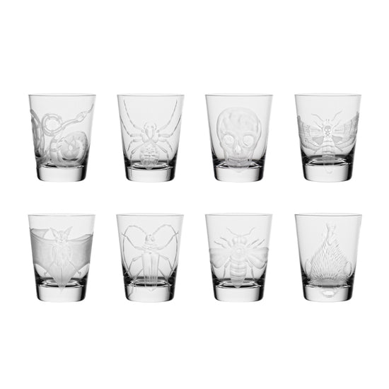 Cabinet of Curiosities Butterfly