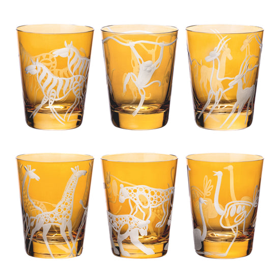 Safari Giraffes