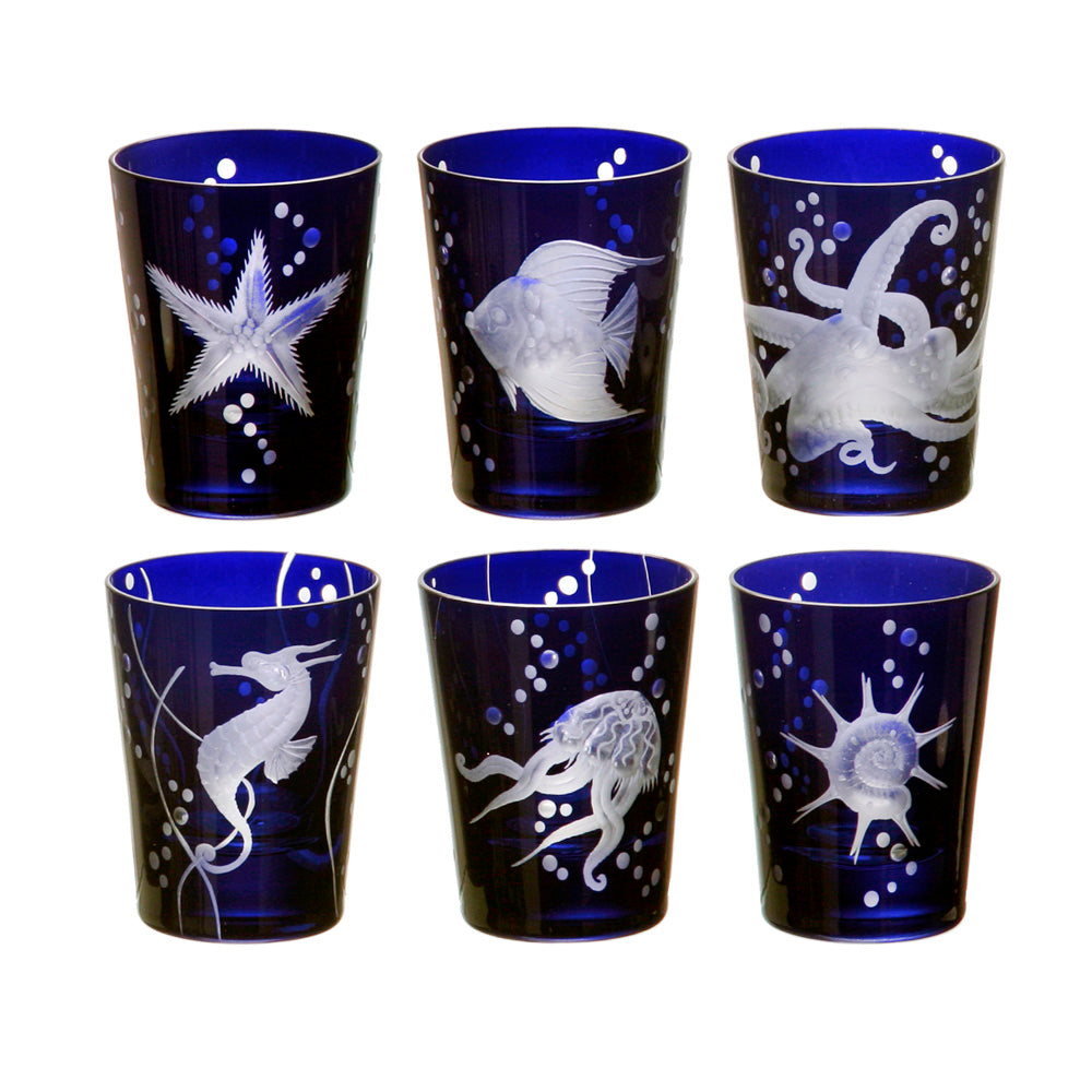Sea Life Collection Set