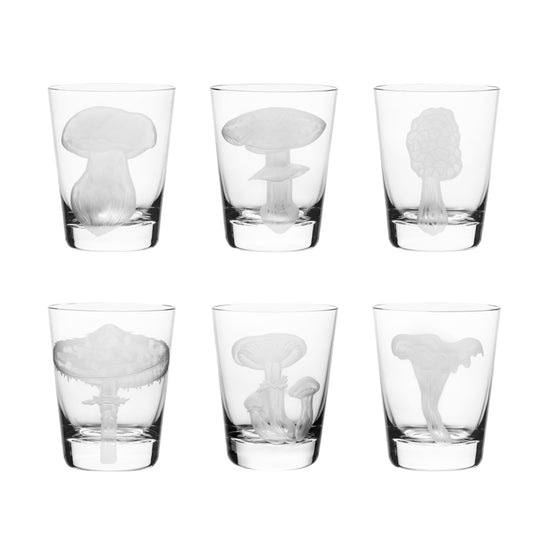 Mushrooms Collection Set