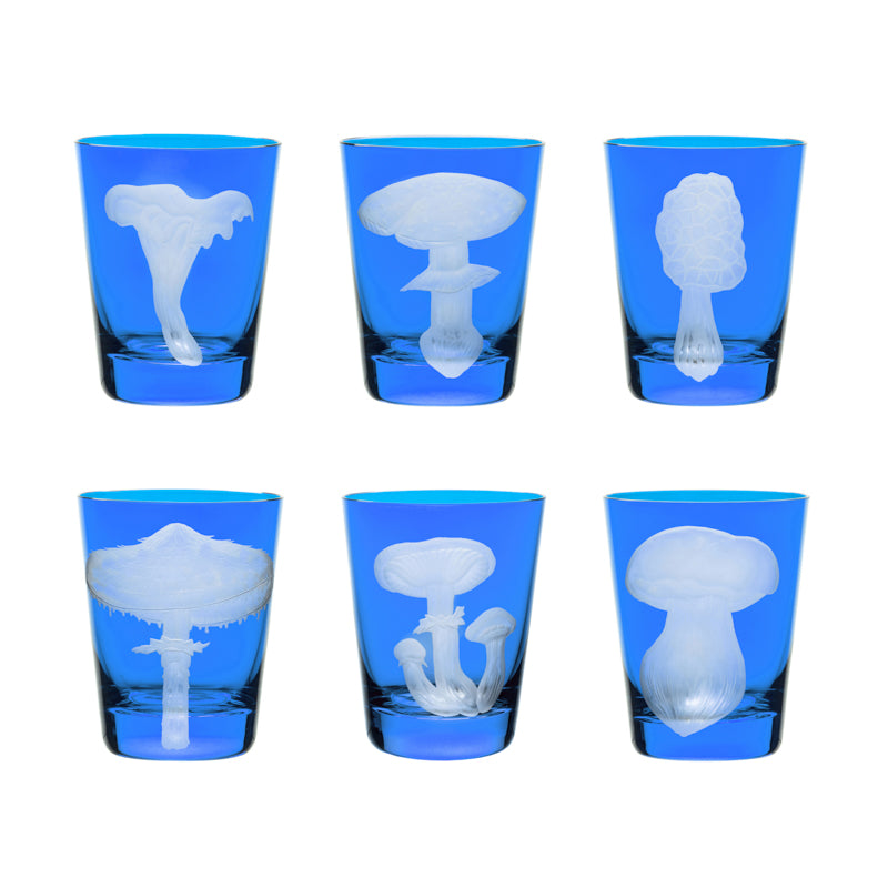 Mushrooms Collection Set