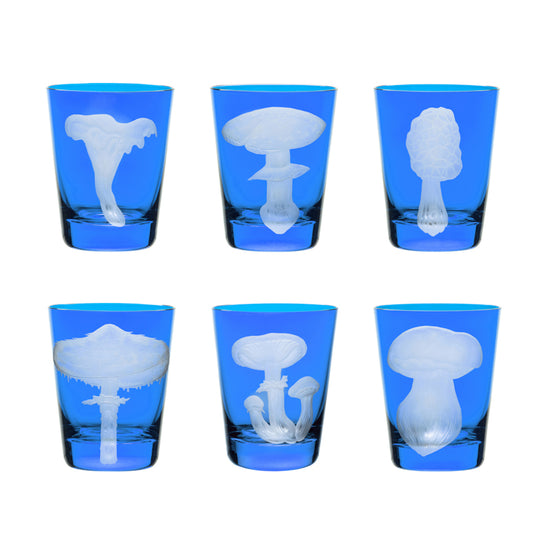 Mushrooms Collection Set