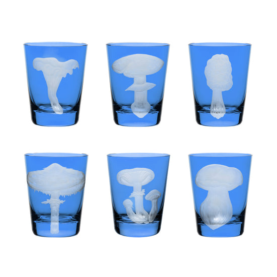 Mushrooms Collection Set