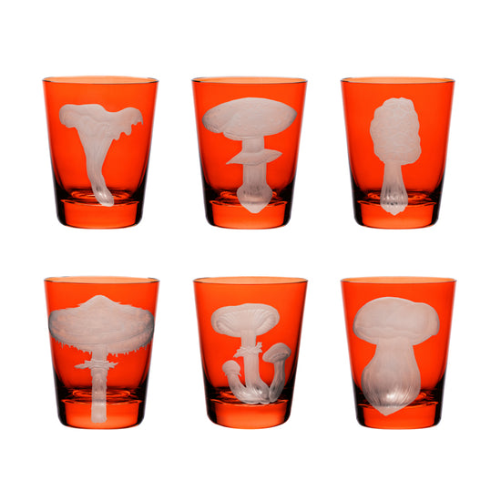 Mushrooms Collection Set