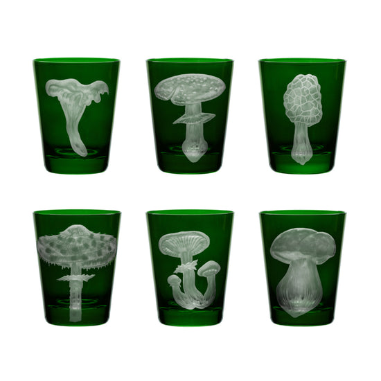 Mushrooms Collection Set