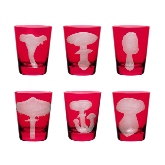 Mushrooms Collection Set