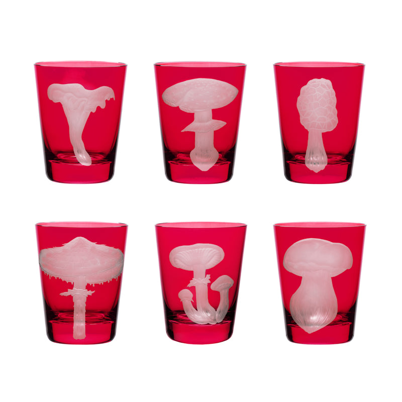 Mushrooms Collection Set