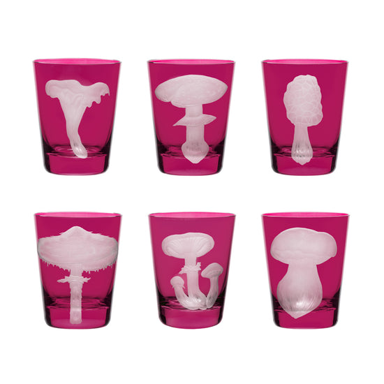 Mushrooms Collection Set