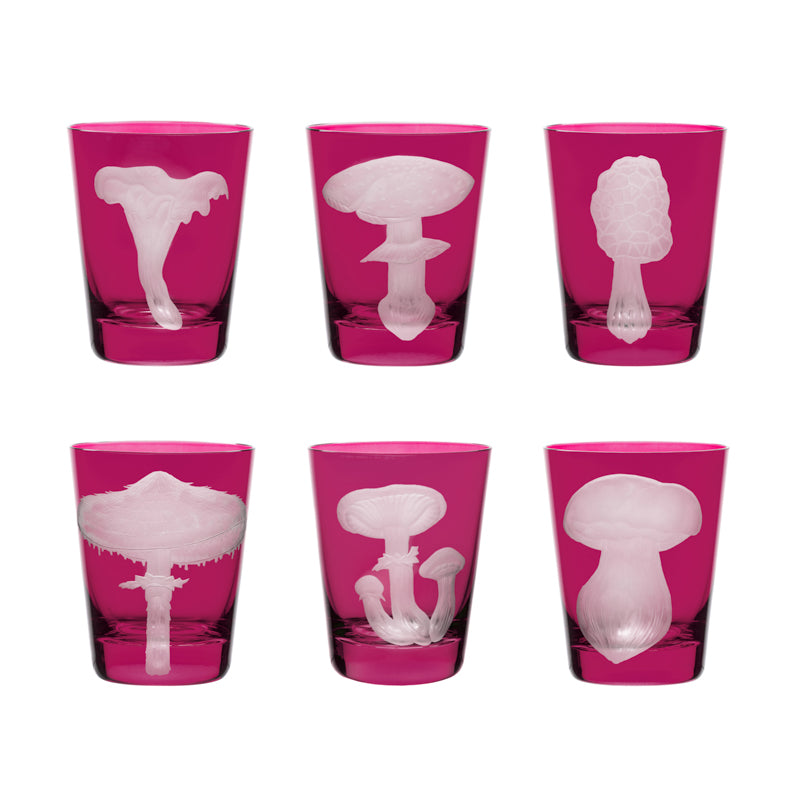 Mushrooms Collection Set