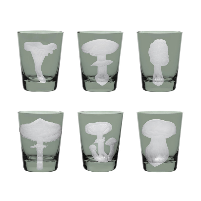 Mushrooms Collection Set