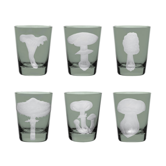 Mushrooms Collection Set