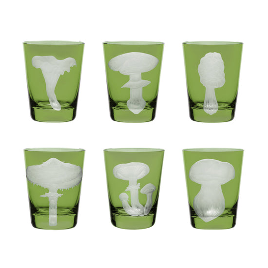 Mushrooms Collection Set