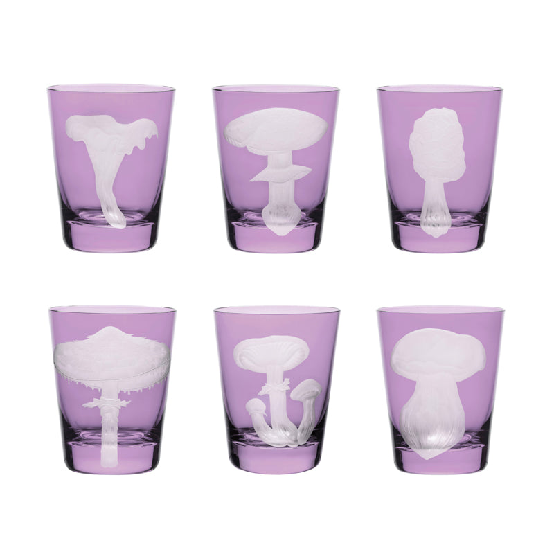 Mushrooms Collection Set