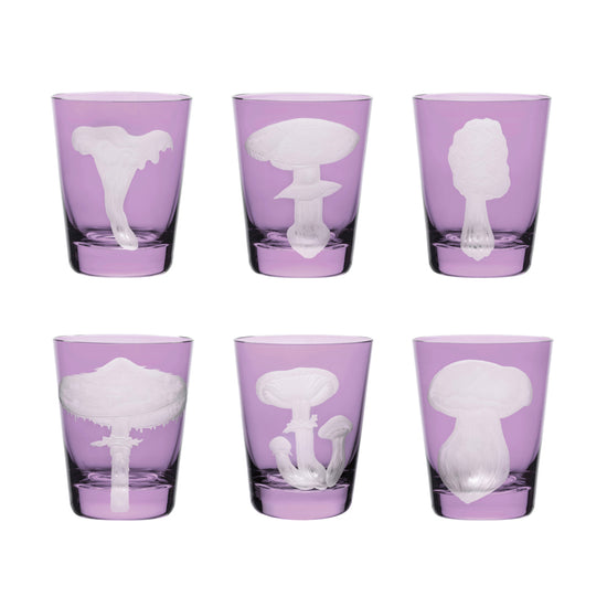 Mushrooms Collection Set