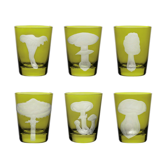 Mushrooms Collection Set