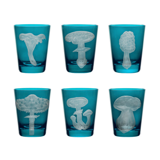 Mushrooms Collection Set