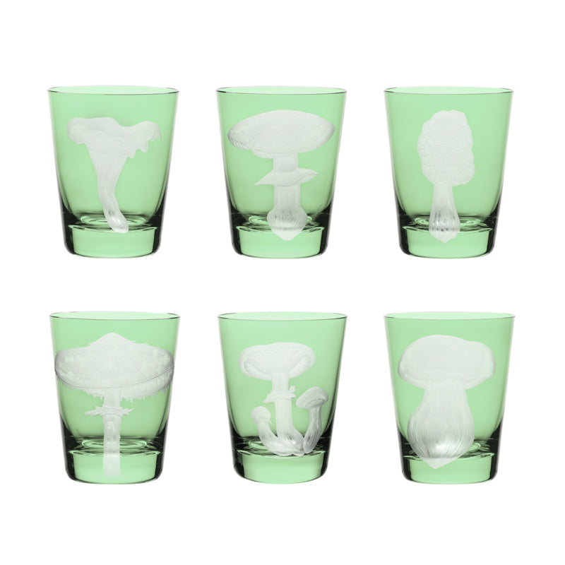 Mushrooms Chanterelle