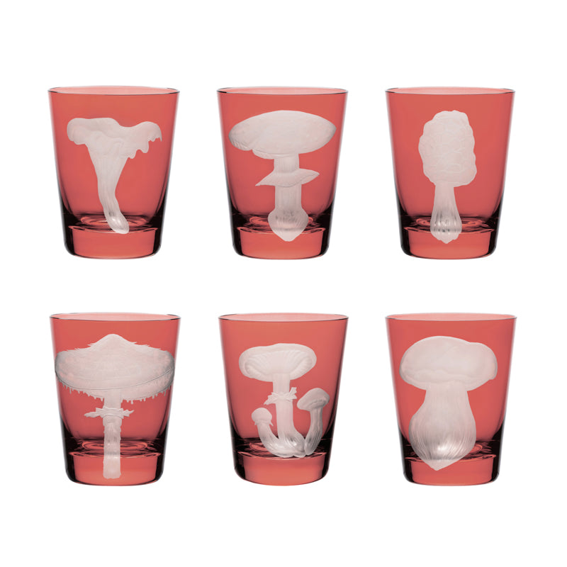 Mushrooms Collection Set