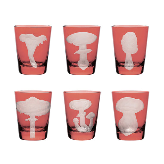 Mushrooms Collection Set