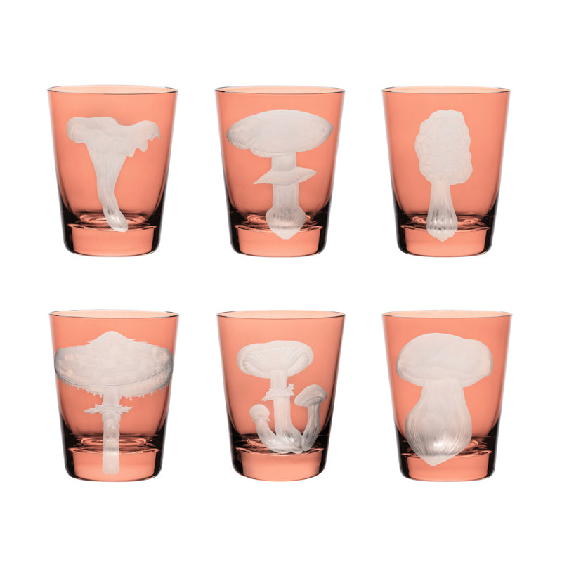 Mushrooms Collection Set