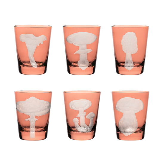 Mushrooms Collection Set