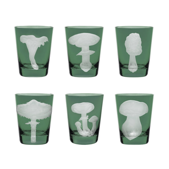 Mushrooms Collection Set